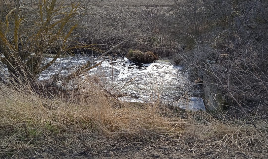 Seimas turi realią galimybę įstatymu įteisinti teršėjo sąvoką