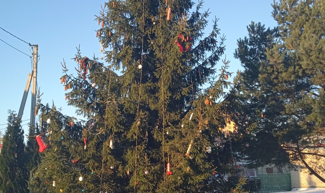Ateities ir Vilties gatvių gyventojams dar teks palaukti savivaldybės elektros jų per šventes puošiamai eglei