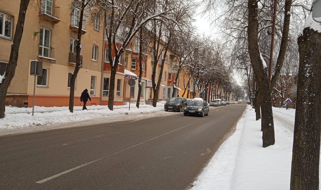 Dėl medžių, augančių Vytauto gatvėje, lajų retinimo darbų kokybės
