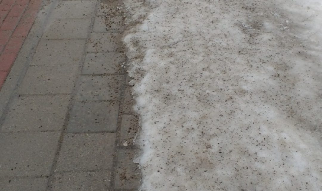 Sniego valymas, pėsčiųjų ir dviračių tako priežiūra žiemą