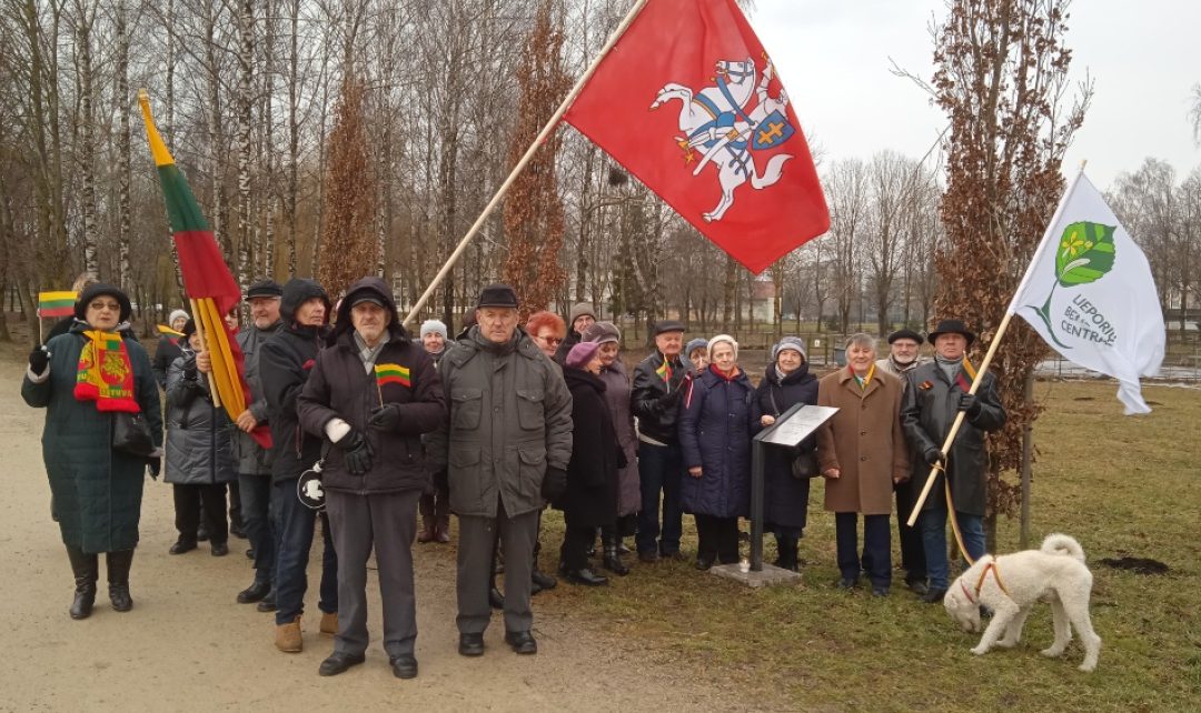Kvietimas į šventinę eiseną