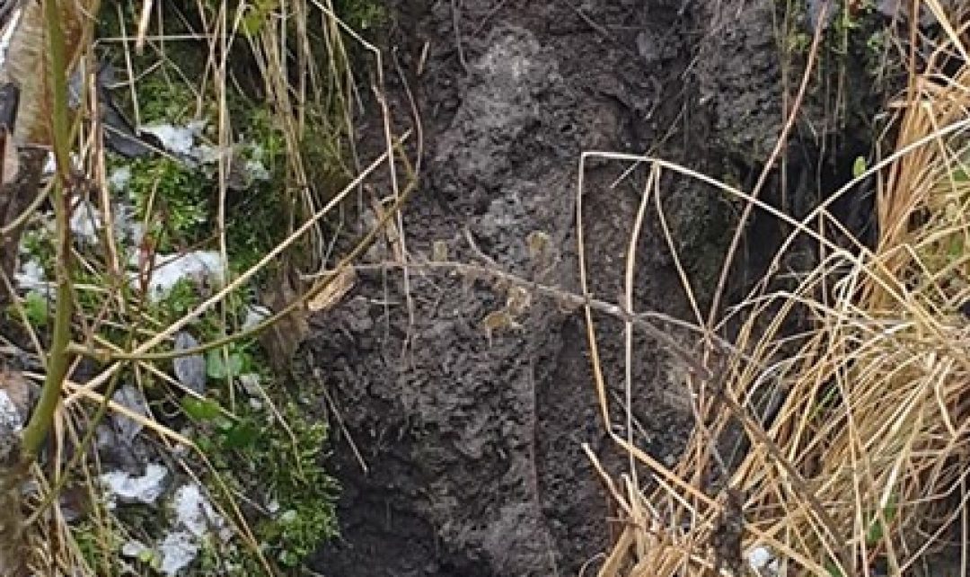 Bebrai baigia užtvenkti Šventupio upelį Šiauliuose