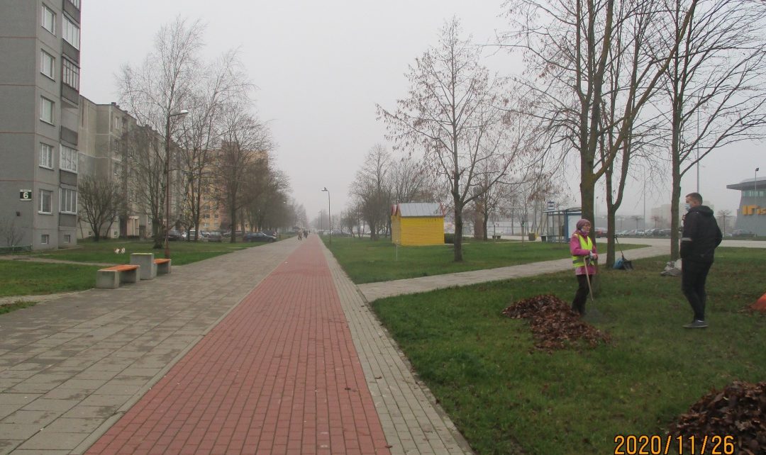 Vakariui už jo išdaigas mokėti nereikia