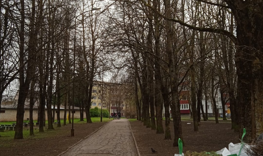 Numatyta atnaujinti pėsčiųjų taką Aukštabalio seniūnaitijoje