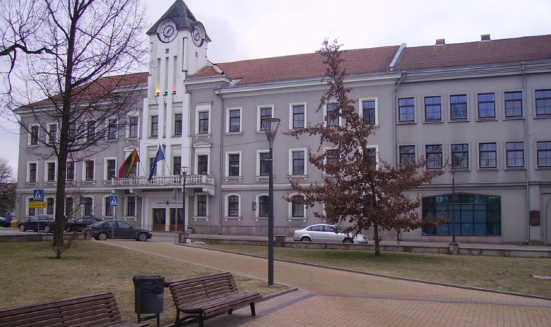 Darbo grupės šilumos kainų mažinimo galimybėms nagrinėti darbo įvertinimas