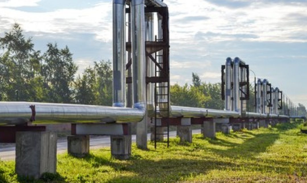 Rekomendacijos šilumos sektoriui: centralizuoti tinklai, biokuras, dvinarės kainos ir kt.