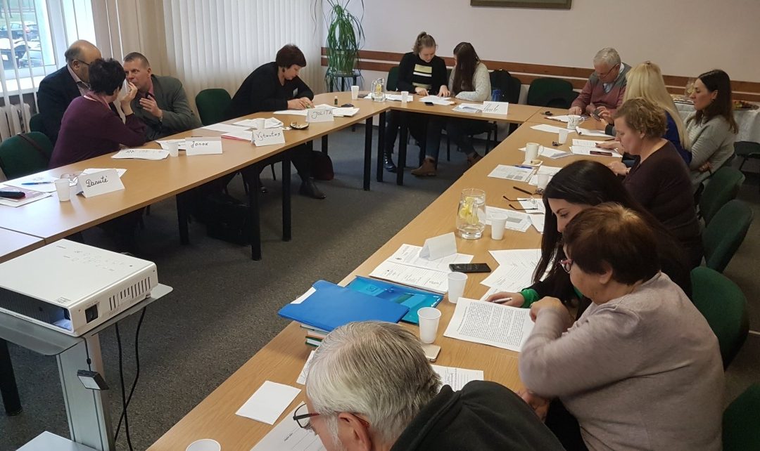 Įvyko mokymai, skirti nvo institucinių gebėjimų stiprinimui